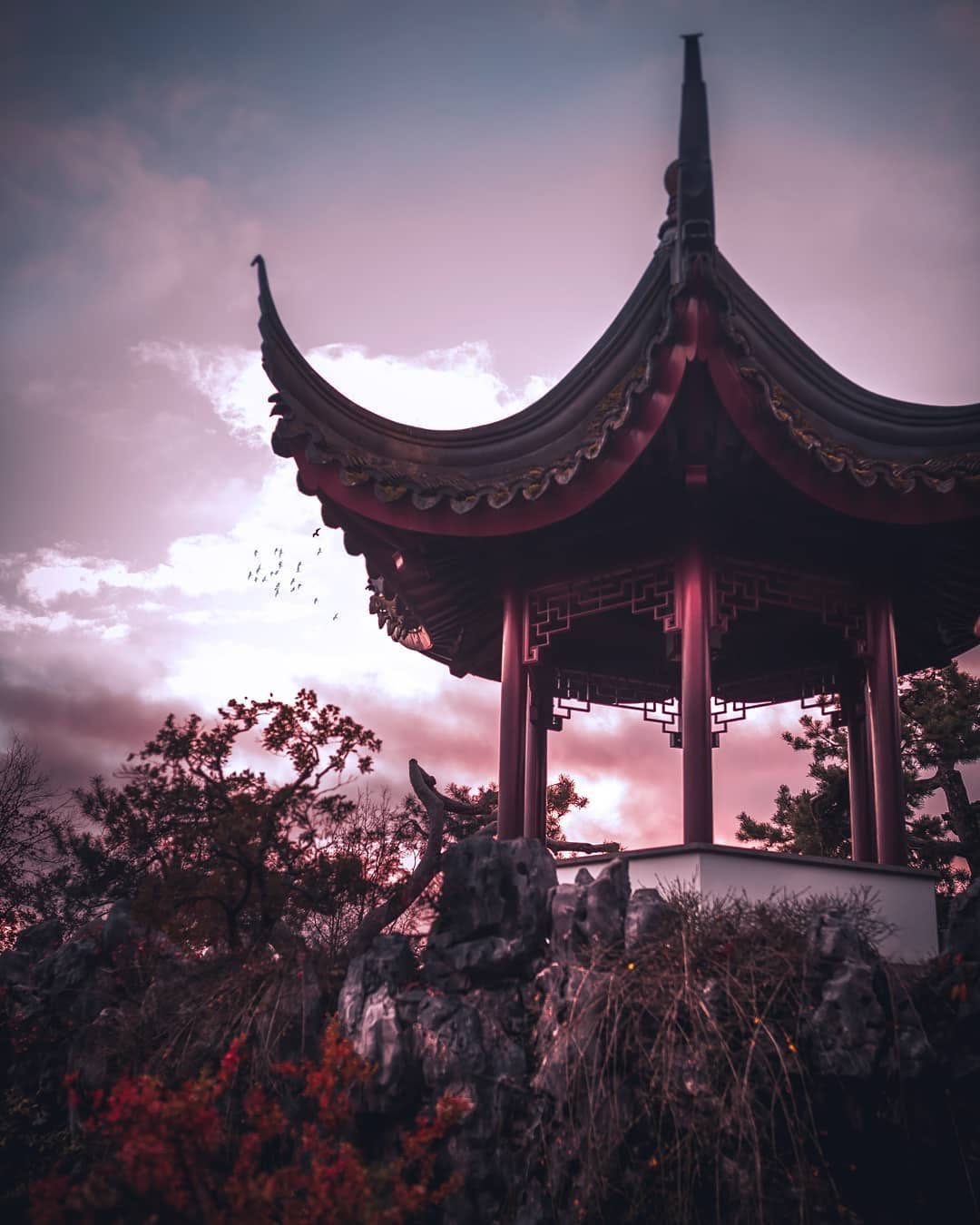 Curved red pagoda roofline against a dusky pink Vancouver sky at Lunar New Year